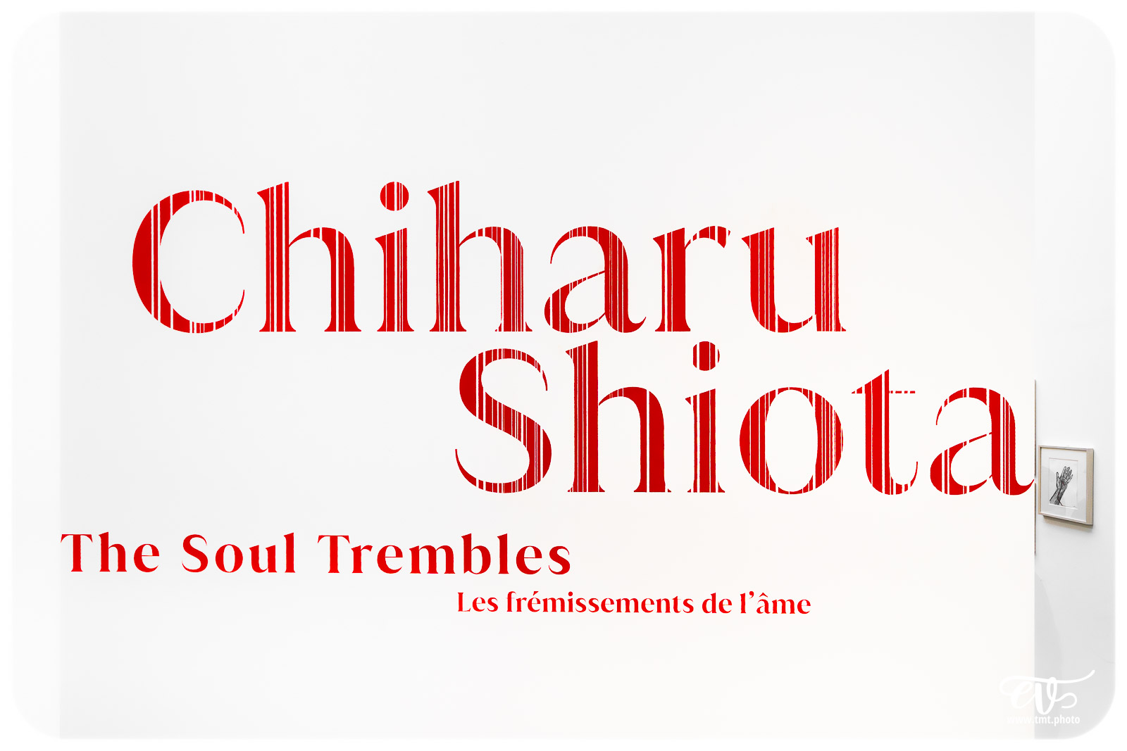 TMTPHOTO CHIHARU SHIOTA 001